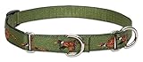 LupinePet 3/4-Inch Fly Away 10-14-Inch Martingale Combo Collar for Small to Medium Dogs