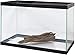 Zilla Reptile Décor Malaysian Driftwood