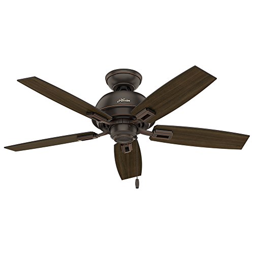 Hunter Donegan Indoor Ceiling Fan with LED Lights and Pull Chain