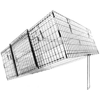 Amazon.com : Tomahawk Neighborhood Cat Drop Trap : Home ...