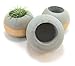 ORB Concrete Succulent Planters / Air Plant Holders (Set of 3) GOLD.