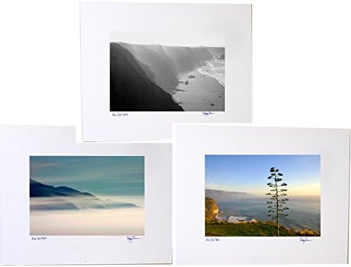 Big Sur Photography, Ocean Cliffs Mist Tree, Small California Coastal Photos 5X7 Matted to 8x10 Set of 3