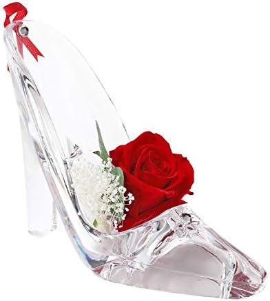 クリスマスプレゼント女性 クリスマスプレゼント彼女 クリスマス プレゼント (赤薔薇)