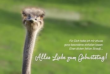 Alles Liebe Zum Geburtstag Lustig 1 Geburtstag