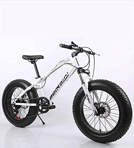 24 inch mens beach cruiser