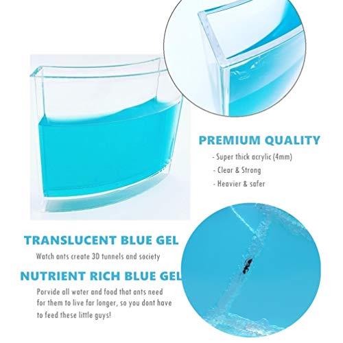 4 Dreamworks+Nutrition+Educational+Behavior+Attention