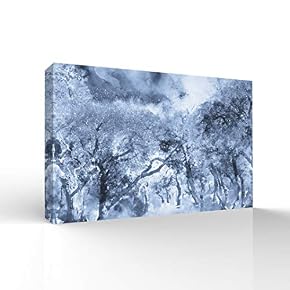 Dusty Blue Ice World Pictures Home Wall for...
