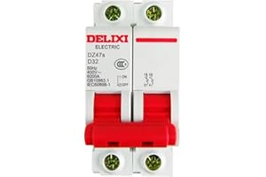 DZ47s Small Circuit Breaker DZ47s D Type 2P 32A | DZ47SN2D32