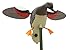 MOJO Outdoors Spinning Wing Duck Decoy, Duck Hunting Gear and Accessories, Gadwall,Beige,One Size,HW2102