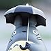 Maggift Totoro with Umbrella Statue 4inch My Neighbor Totoro Figure Decoration