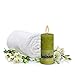 Bolsius Rustic Set of 6 Unscented Pillar Candles 2.75X5 Inch Lime Home Decoration Dripless Cotton Wick Dinner Candles Prefect for Parties, Restaurant, Spa, Church, Anniversary, (130x68mm)