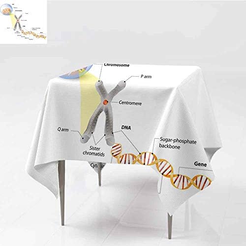 Waterproof Tablecloth Educational Cell Chromosome DNA Gene Genome Study Double Helix Evolution Science Research Multicolor Party W70 xL79