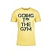 Next Level Pokemon Go Shirt Team Mystic Valor Instinct Going to The Gym Pokémon Go Shirt