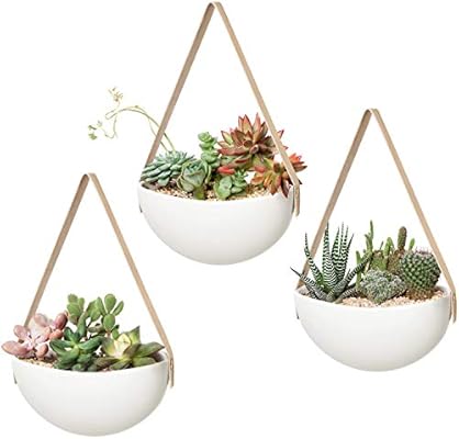Mkono Ceramic Hanging Planter Wall Planters Set Of 3 Modern Flower Plant Pots For Succulent Herb Air Plant Live Or Faux Plants Home Office Decor Chritmas Gift White Buy Online At Best