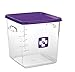 Rubbermaid Commercial Products 1980304 Rubbermaid Commercial Plastic Food Storage Container Lid, Square, Purple, 4 and 8 Quart