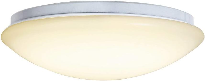 Fbright LED Ceiling Light, White