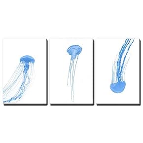 3 Panel Canvas Wall Art - Watercolor Painting Style Blue Jellyfish - Giclee Print Gallery Wrap Modern Home Art Ready to Hang - 16"x24" x 3 Panels