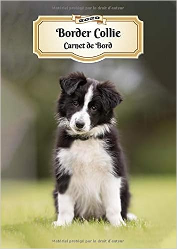Border Collie Carnet De Bord Chiot Ou Chien 139 Pages 12 Mois Format Agenda Journalier Planificateur Semainier Simple Calendrier Organizer French Edition Xlpress Notebooks Journals Amazon Com Books