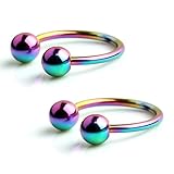 Ruifan 316L Surgical Steel CBR Horseshoe Circular Rings Nose Eyebrow Tragus Lip Ear Hoop Ring Piercing 20G 10MM 2PCS (Rainbow)