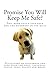 Promise You Will Keep Me Safe?: Dictionary of dangerous and safe food for dogs, including people foo by