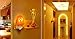 niceEshop(TM) Natural Crystal Himalayan Salt Lamp Night Light Plug in Wall Decorative Air Purifier Nursery Lamp(Natural)