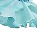 YiZYiF Toddler Kids Girl Ballet Dance Dress Leotard Chiffon Dancewear Costume Blue 6
