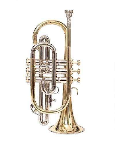 Nasir Ali Co-01, Cornet, Bb, Brass - Thumbnail 2