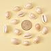 Pandahall 50pcs Spiral Seashell Beads Beach Cowrie Sea Shells White Natural Shell Pendants Beads Charms Beads for Jewelry Making, Party Wedding Decor, and Craft Project (18~20x13mm)