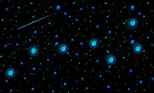 DECAL &amp; STARS: "The Big Dipper" Glow in the Dark Star Kit with Shooting Star DIY Peel and stick EZ Install for bedroom ceiling or walls