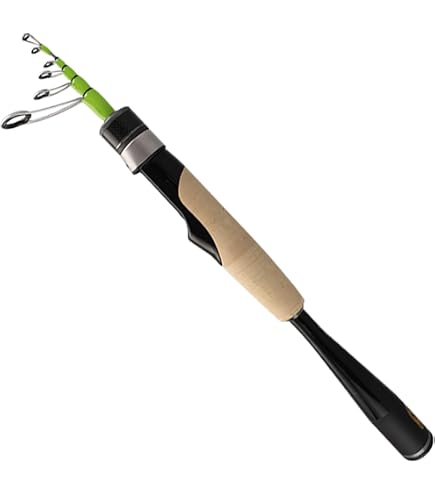 Amazon.com : Daiwa B.B.B 666TMRB Black 1.98m High Tension Casting