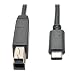 Tripp Lite 3 ft. USB 3.1 Gen 2 USB-C to USB-B Cable (M/M), USB Type-C to USB 3.0 Type-B, 10 Gbps Fast Charging (U422-003-G2) primary