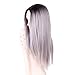 AISI HAIR Synthetic Long Straight Grey Ombre Wigs Middle Part Wig Dark Brown Roots Silver Grey Wig Ombre Heat Resistant Fiber Two Tone Full Wigs for Women
