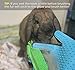 Dashka Pet Groomer Glove and Pet Hair Remover Brush Pair, Remover and Deshedding Tools for Your Pet Hair Removal and Grooming Needs