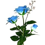 Homeleo Garden Light Up Rose Flower Stake, Outdoor Solar Powered Rose Lights for Garden Patio Backyard Christmas Pathway Driveway Decoration - Blue
