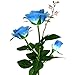 Homeleo Garden Light Up Rose Flower Stake, Outdoor Solar Powered Rose Lights for Garden Patio Backyard Christmas Pathway Driveway Decoration - Blue