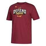 Cleveland Cavaliers Adidas 2017 Defend the Land NBA Team Color Playoff Tee (Maroon, X-Large)