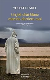 Un  joli chat blanc marche derrière moi
