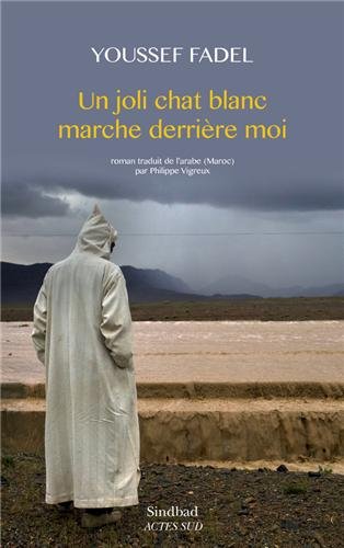 Un  joli chat blanc marche derrière moi