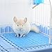 RUBYHOME 2 Pcs Rabbit Feet Pad Plastic Bunny Cage Floor Mat Foot Resting Hole Leak Water Nest Mat for Pet Small Animal Hamster Rat Chinchilla Guinea Pig Cats Dogs (Blue)