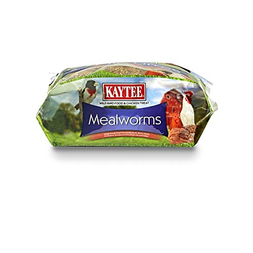 Kaytee Wild Bird Food Mealworms For Bluebirds, Wrens, Robins