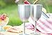 Frost Bottle Double Wall Vacuum Sealed Insulated Wine Glass/Goblet with Splash Proof Lid || Premium Food Grade 18/8 Stainless Steel || BPA-Free (1)