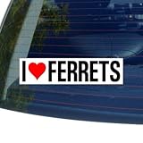I Love Heart FERRETS - Window Bumper Sticker