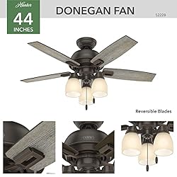 Hunter Fan Company, 52228, 44 inch Donegan Onyx