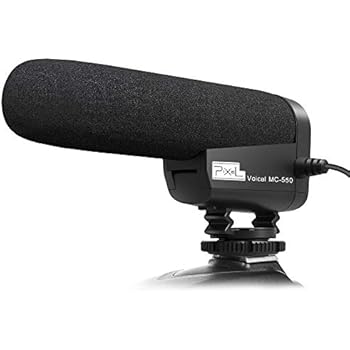Amazon.com : TAKSTAR SGC-598 Interview Microphone for
