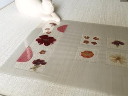 Amazon ランチマット ホンモノの押し花をラミネート タイプc コンテント キッチン用品 通販