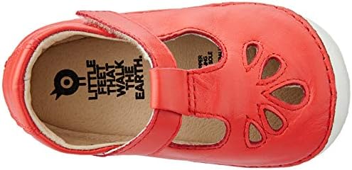 little feet that walk the earth shoes