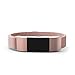 Teak - Fitbit Charge 2 Band - Silicone and Magnetic Loop Stainless Steel Replacement Wristband