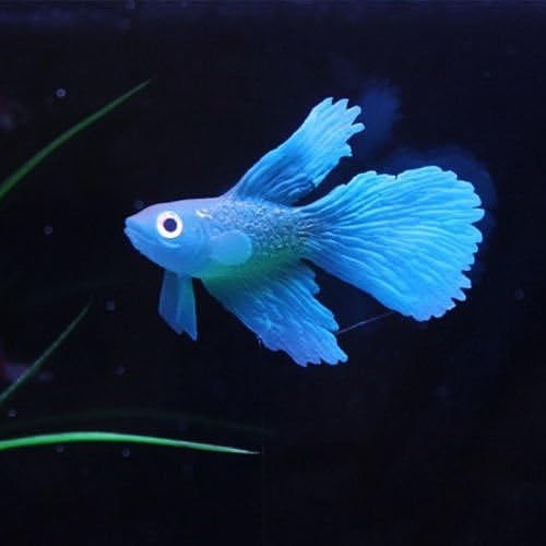 Rumble Fish Blue Aquarium Fish Tank Landscape Decoration Glow Simulation Animal Plants Ornament no.33