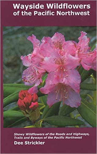 Wayside Wildflowers Of The Pacific Northwest Dee Strickler - 