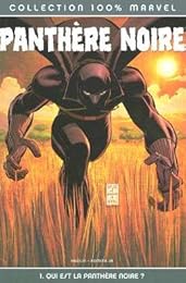 Qui est la Panthère noire ?